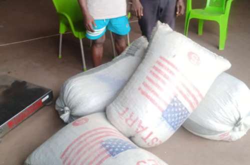 Two Cocoa smugglers arrested in volta region