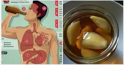 These are the benefits your body will experience if you eat garlic and honey on an empty stomach for