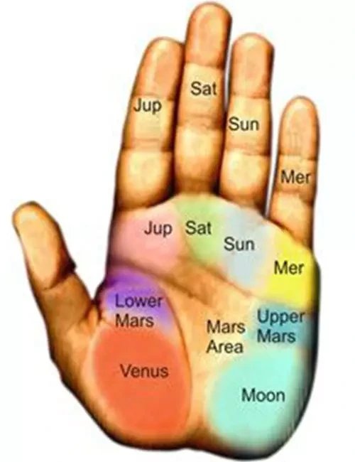 Check what a fish Shape In Your Palm Signifies 