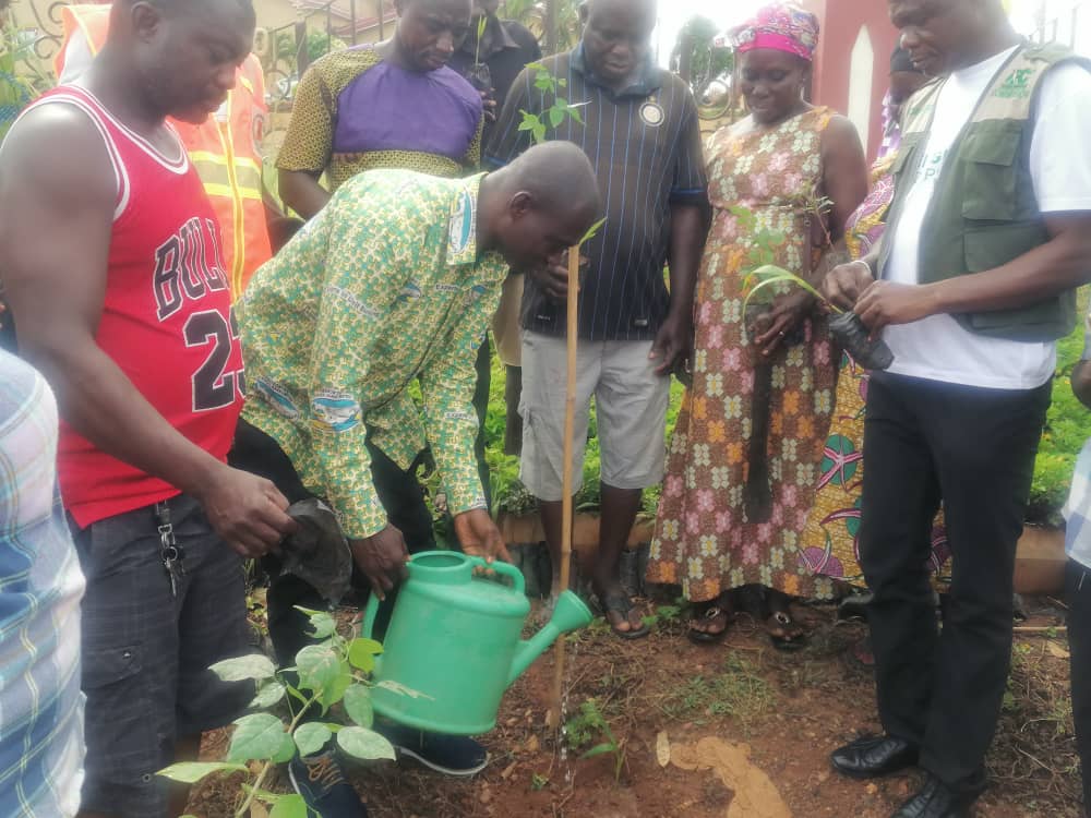 Jachiehene leads community to plant trees to mark green Ghana day
