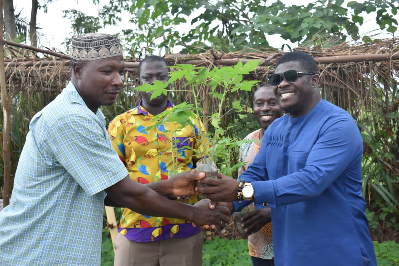 Afigya Kwabre South District distributes 20,000 pawpaw seedlings to farmers on a pilot project