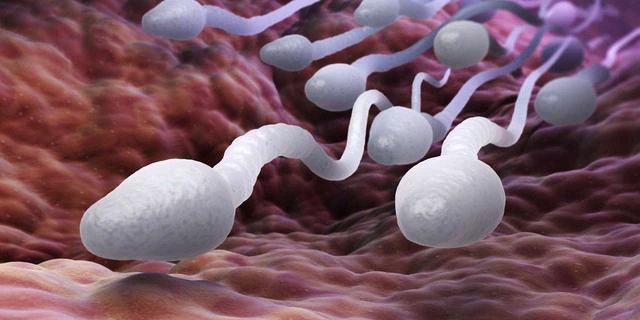 How to make sperm stronger for pregnancy: Here’re best tips to follow