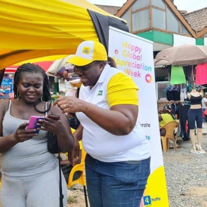 MTN Staff Yvonne Takyi Assists Customer to check her registration status