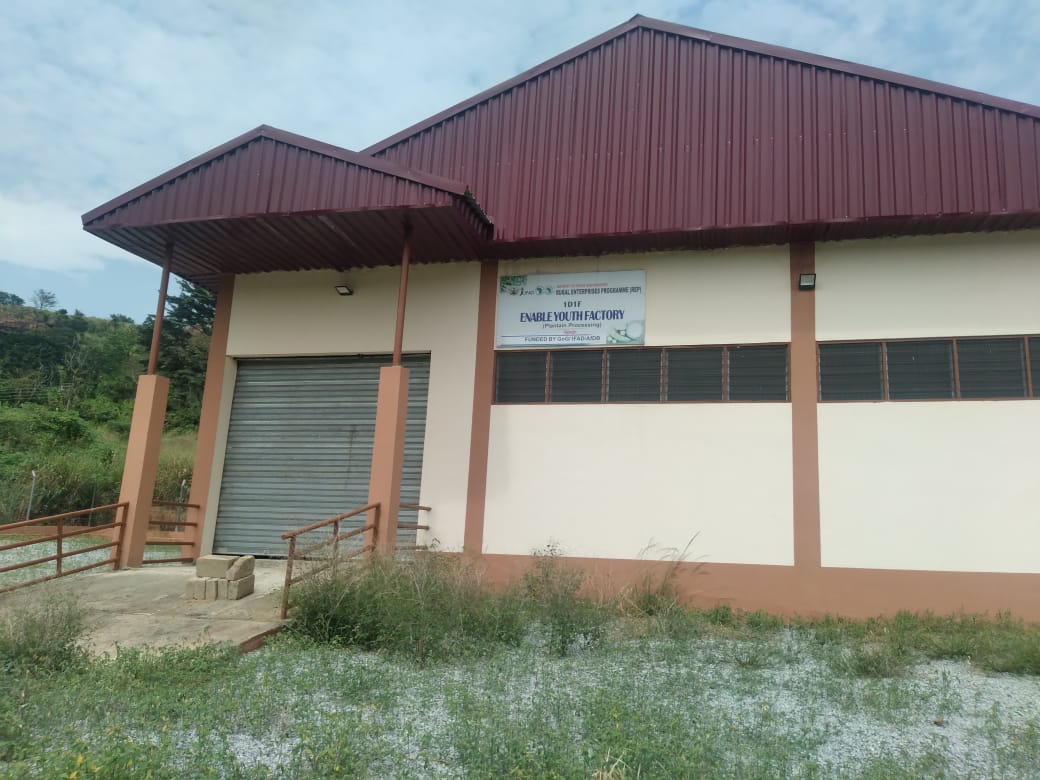 Plantain Processing Factory At Agogo Not Operational….As Weeds Take Over Building