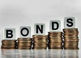 We can’t survive if individual bonds are included – Government told