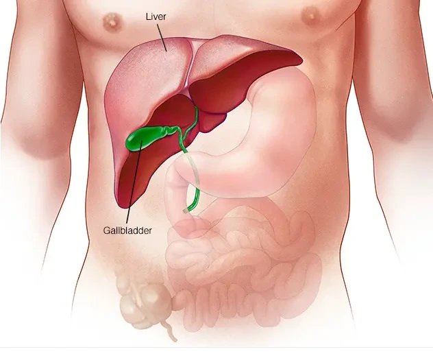 If You Love Your Kidney And Want To Live Long, Avoid Doing These Things