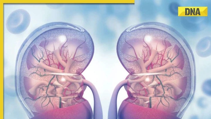Chronic kidney disease: 6 signs that your kidney is in danger